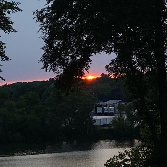 Meet your Posher, Jadyn - Picture 2 of 2